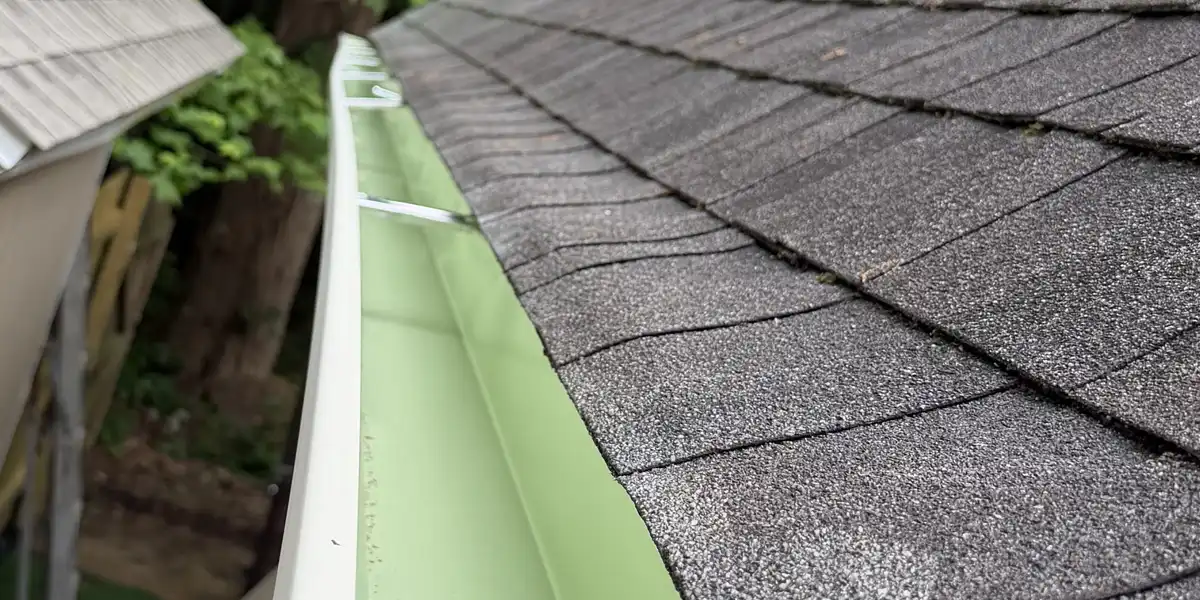 Gutter Cleaning